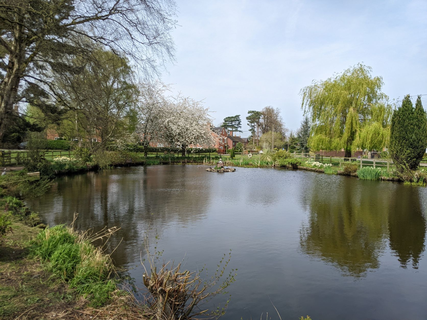 Village pond, April 17th